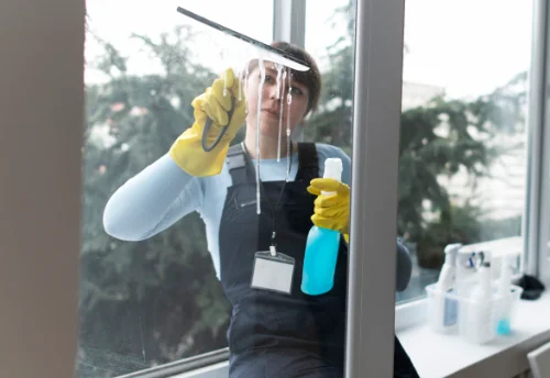 Nettoyage de vitres intérieures et extérieures à Bessas
